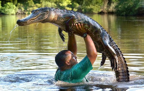 Dirty Dancing Croc
